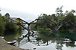 Ruca Malen old bridge, 7-Lake Road - Photo: Jorge Gonz�lez