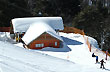 The forest chairlift, Mount Bayo - Photo: Jorge González The forest chairlift, Mount Bayo - Photo: Jorge González