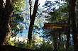 Entrada al Lago Espejo - Photo: Jorge Gonz�lez