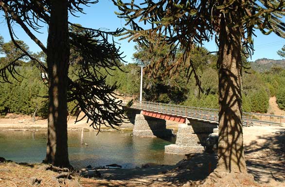 Puente en La Angostura - Villa Pehuenia / Moquehue