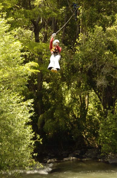 Canopy en el ro - Villarrica