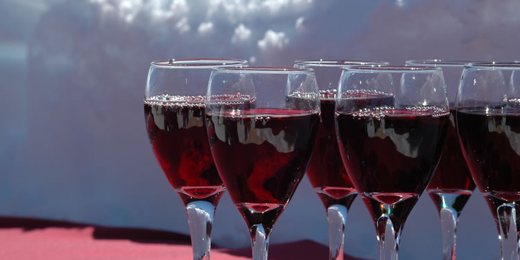 Vinos patagnicos