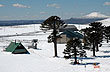 1.810 m. sobre el nivel del mar, Primeros Pinos - Photo: Eduardo Epifanio 1.810 m. sobre el nivel del mar, Primeros Pinos - Photo: Eduardo Epifanio