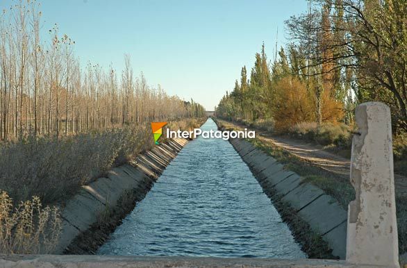 Canal de riego - Colonia 25 de Mayo