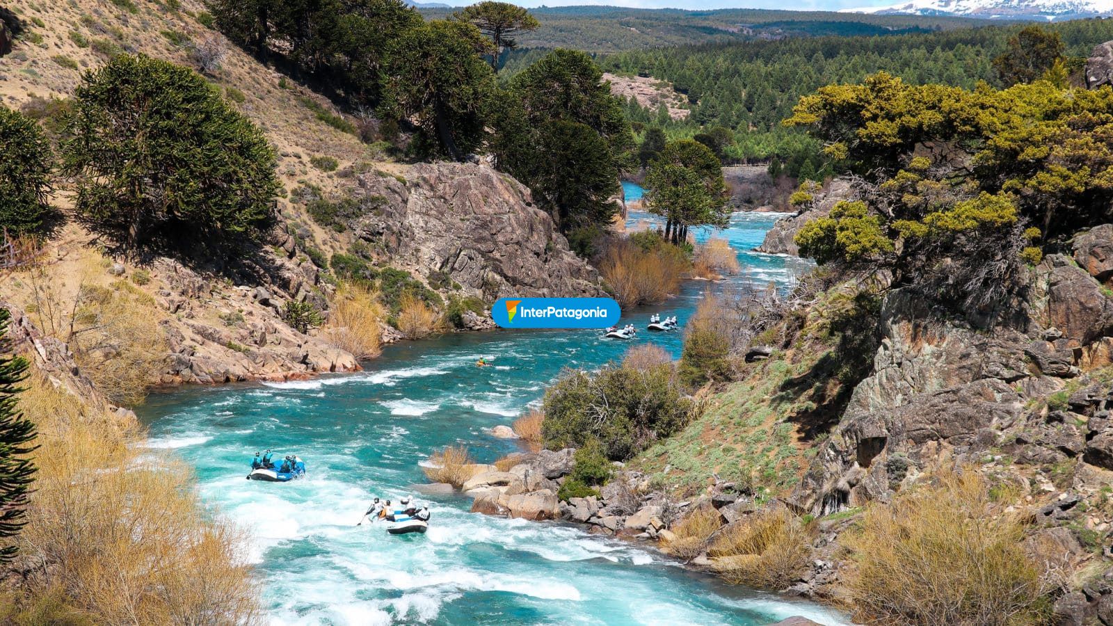 Alumin rafting - Alumin