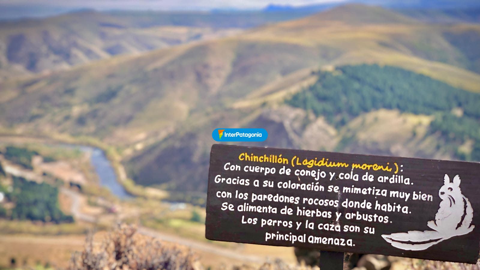 Trekking - Alumin