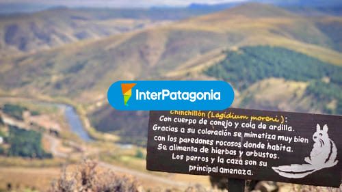 Trekking