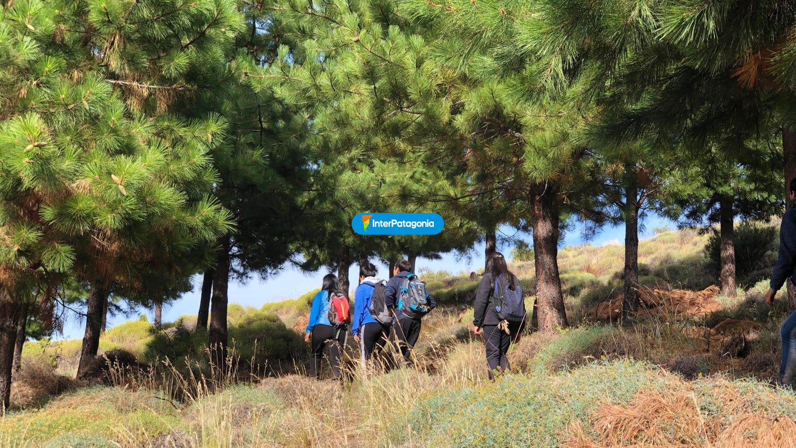 Alumin trekking - Alumin