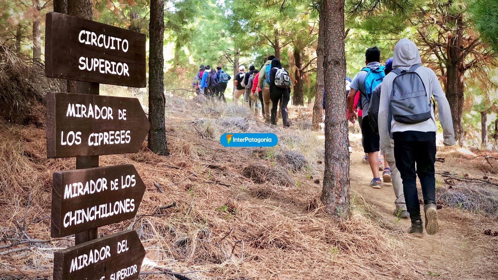 Alumin trekking - Alumin