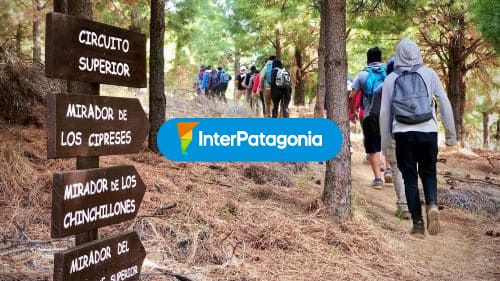 Aluminé trekking