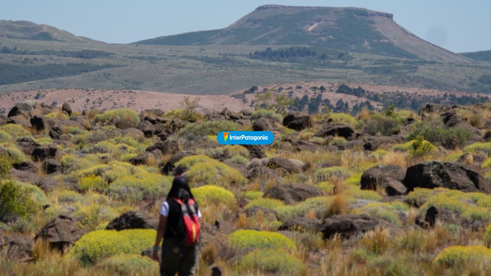 Trekking - Alumin