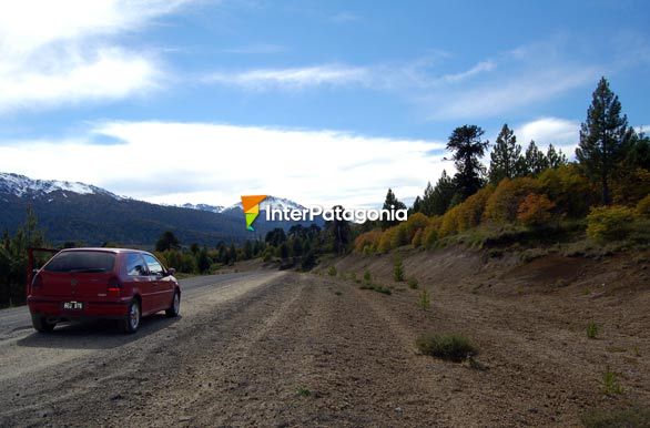 Circuito Pehuenia - Alumin