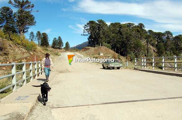 Sobre el ro Pulmari - Alumin