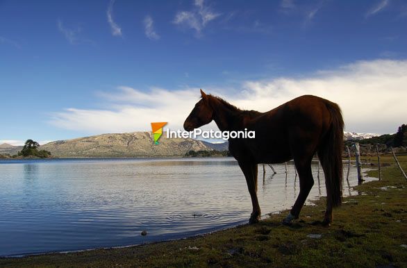 Lago Alumin - Alumin