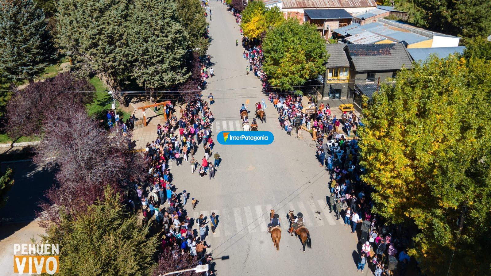 Desfile de caballos en alumin� - Alumin�