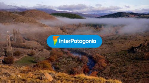 Neblina sobre el río