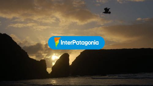 Bahía de Puñihuil