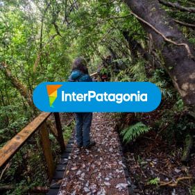 Caminata por el parque