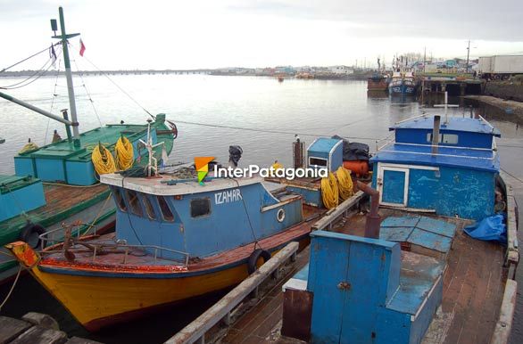 Izamar y otros - Ancud