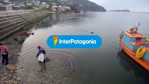 Llegada a tierra