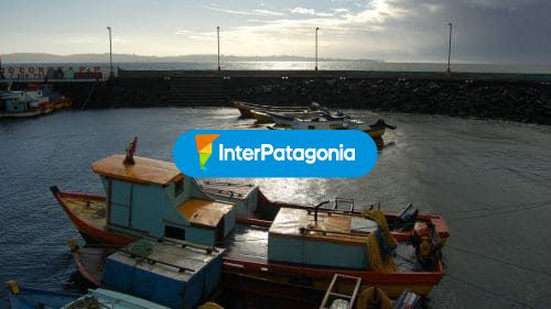 Postal del puerto
