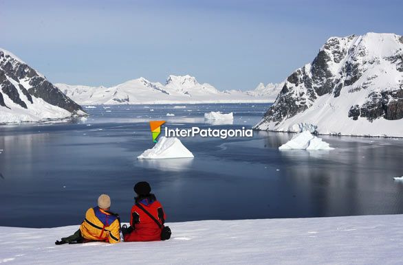 Isla Danco - Antártida
