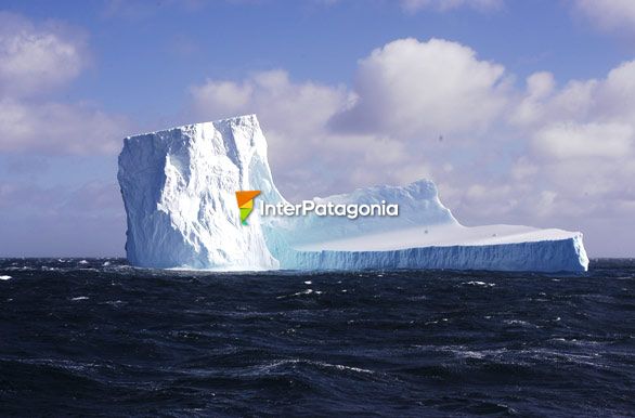 Iceberg