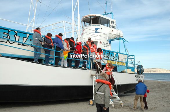 Desembarco - Ballenas en Patagonia