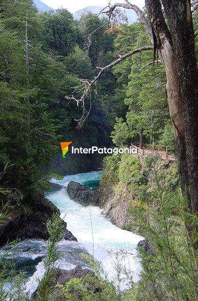 Los Alerces Cascade - San Carlos de Bariloche