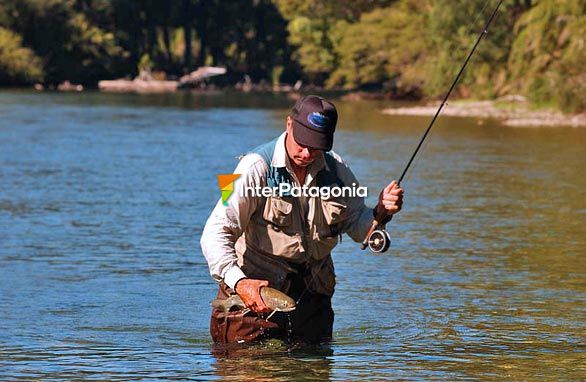 Releasing his catch in the Nahel Huapi - San Carlos de Bariloche