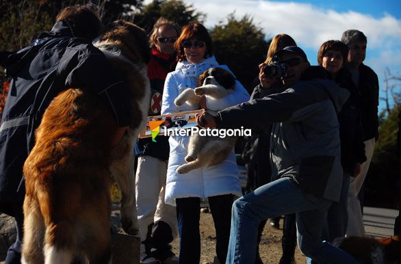 Fotos en Circuito Chico - San Carlos de Bariloche