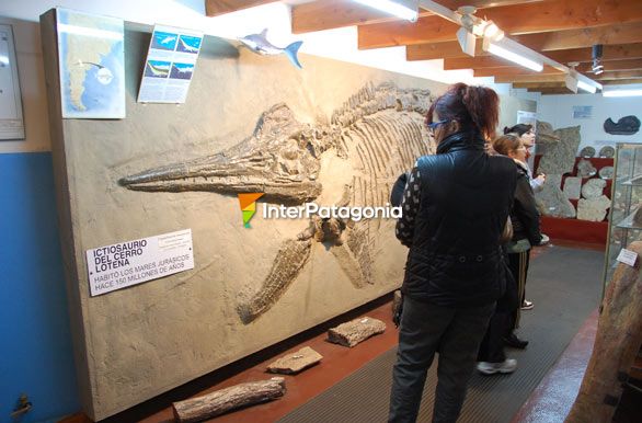 El Museo Paleontológico