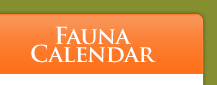 Fauna Calendar