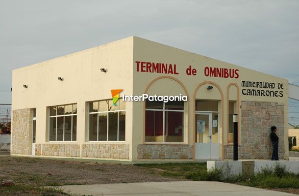 Terminal de ómnibus