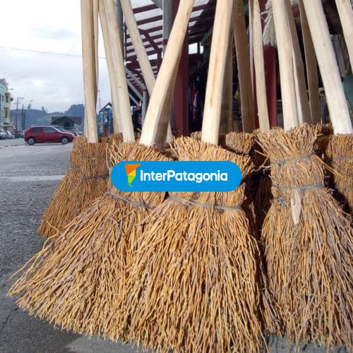 Escobas chilenas