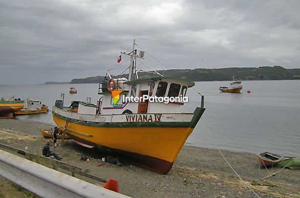 Costa de Quemchi - Castro