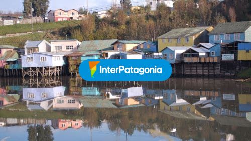 Madera y tejuelas de alerce