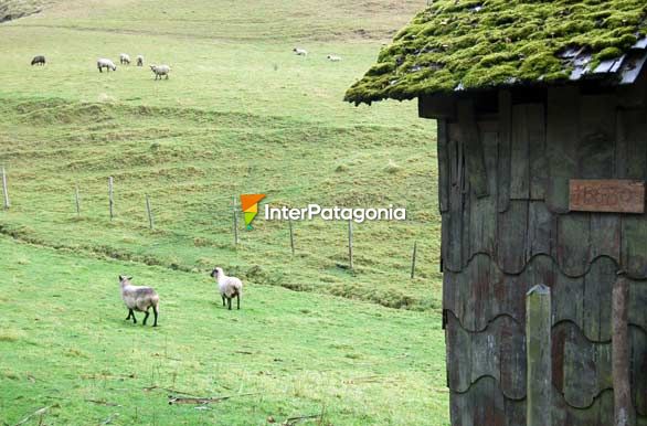 Paisaje campestre en Riln - Castro