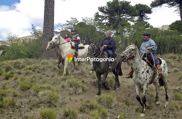 Un alto para la foto - Caviahue