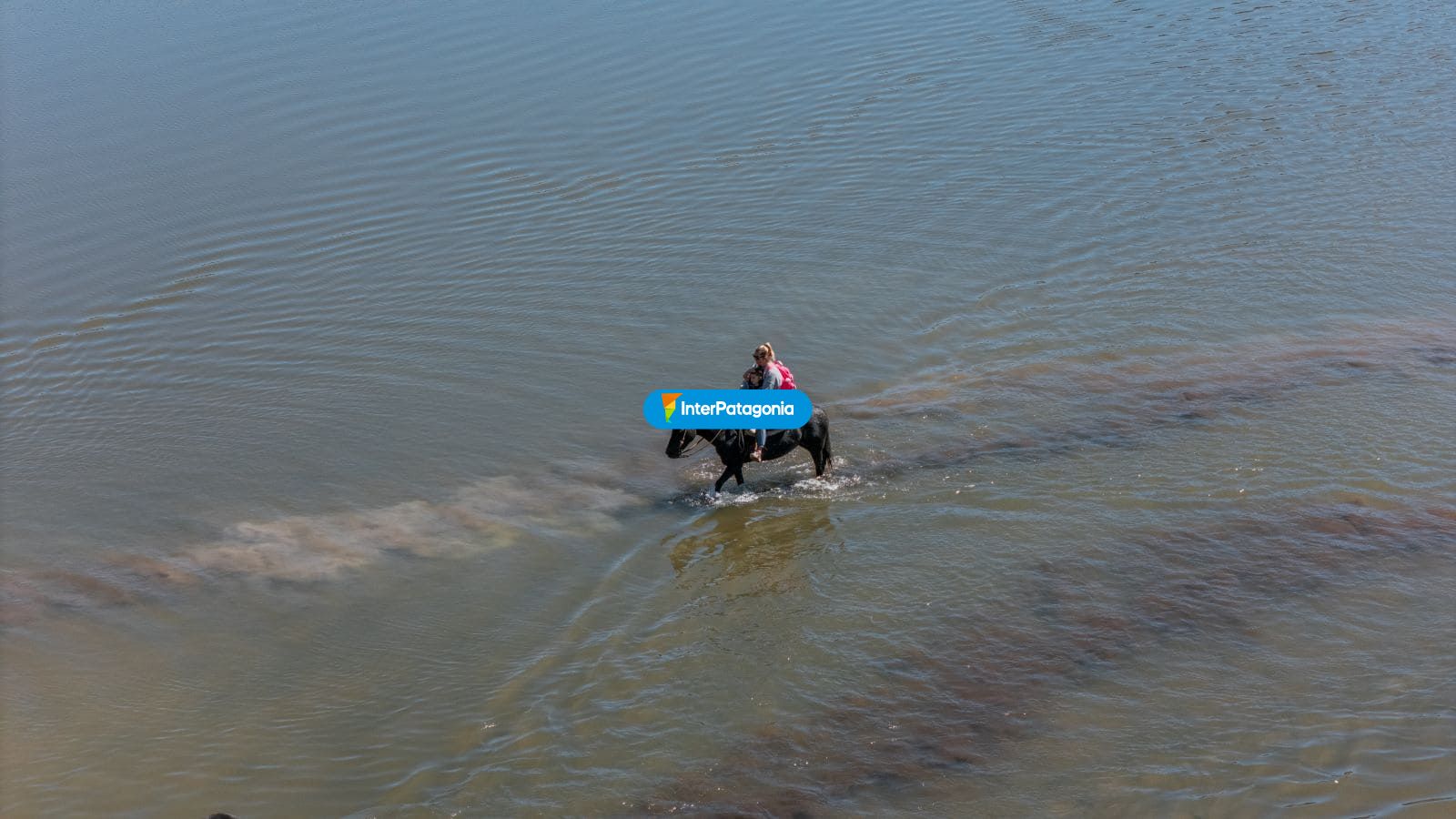 Cruzando el agua a caballo - Caviahue