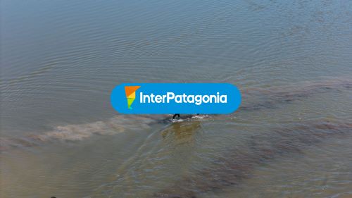 Cruzando el agua a caballo