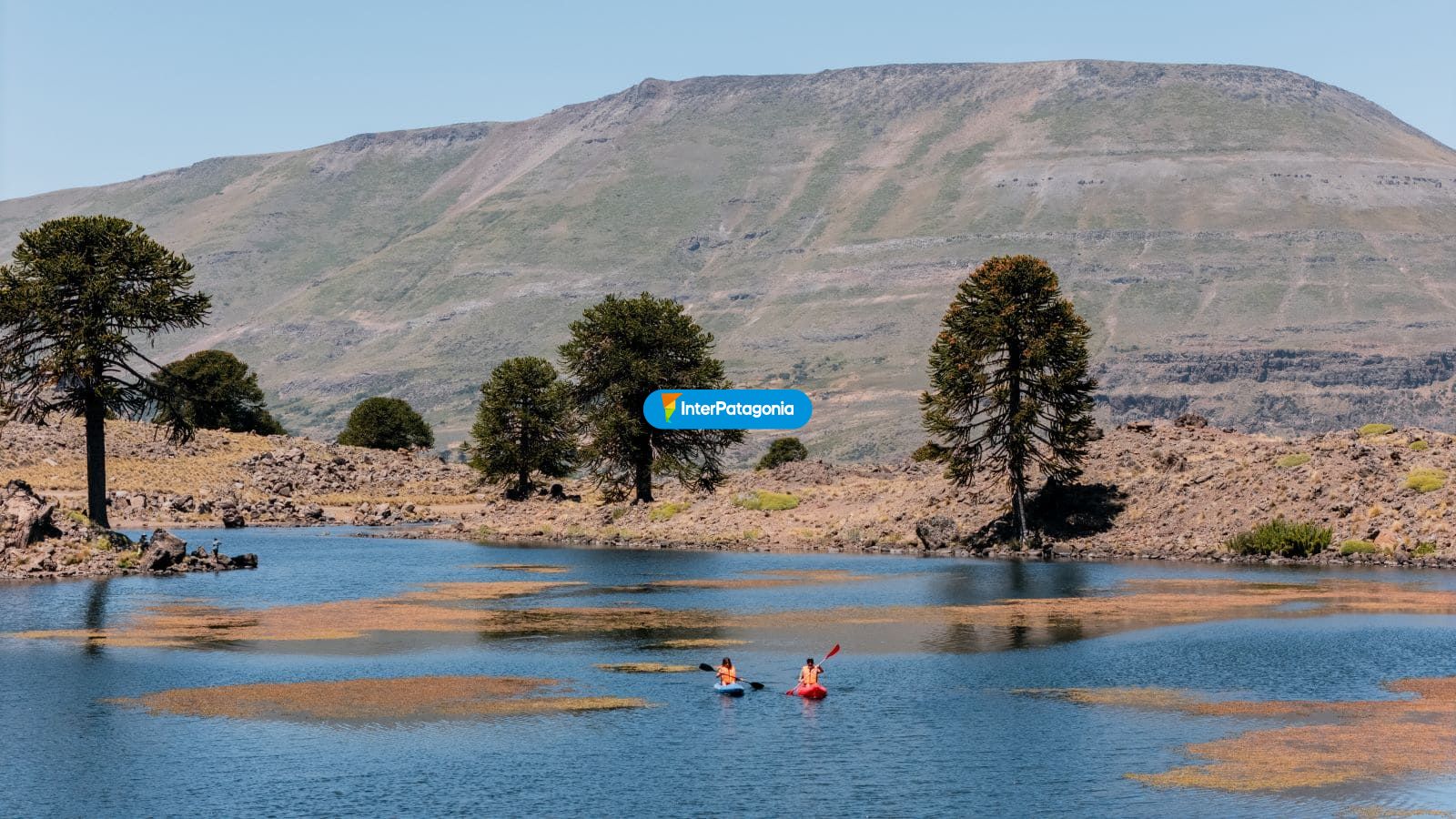 Kayak y araucarias - Caviahue
