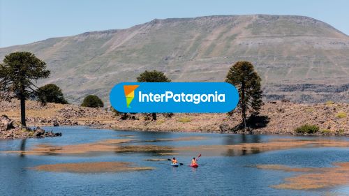 Kayak y araucarias