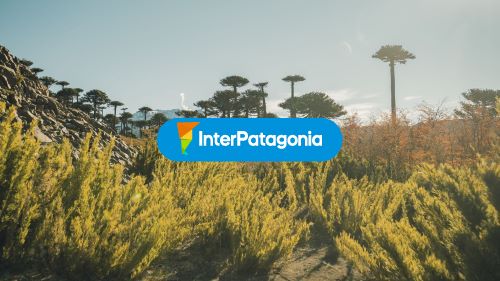 Laguna Alta