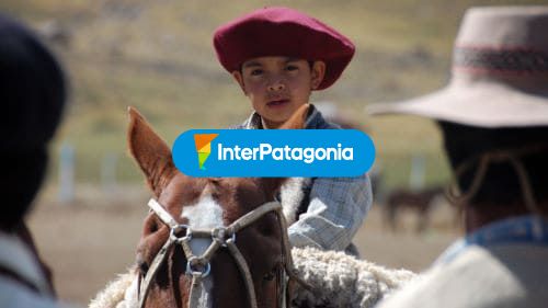 Pequeño Gaucho