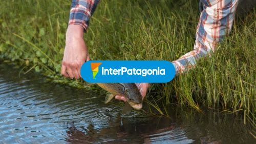 Pesca en estancia el zorro