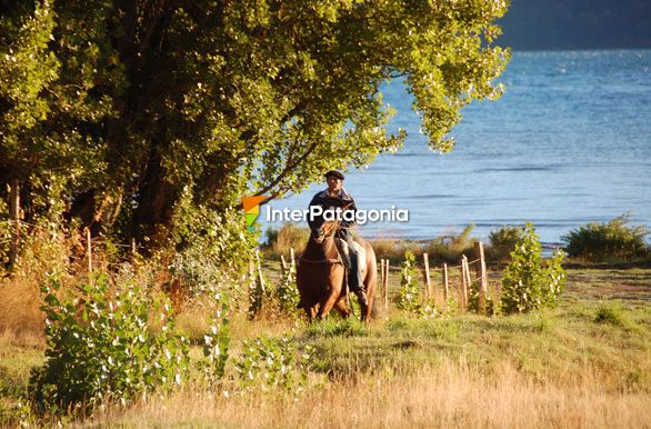 Poblador de Pto. Tranquilo - Chile Chico / Lago G. Carrera