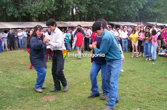 Encuentro costumbrista / Expo rural - Cochrane