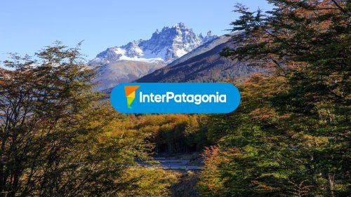 Combinando colores en el paisaje