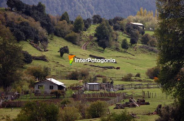 Buclico paisaje - Coyhaique